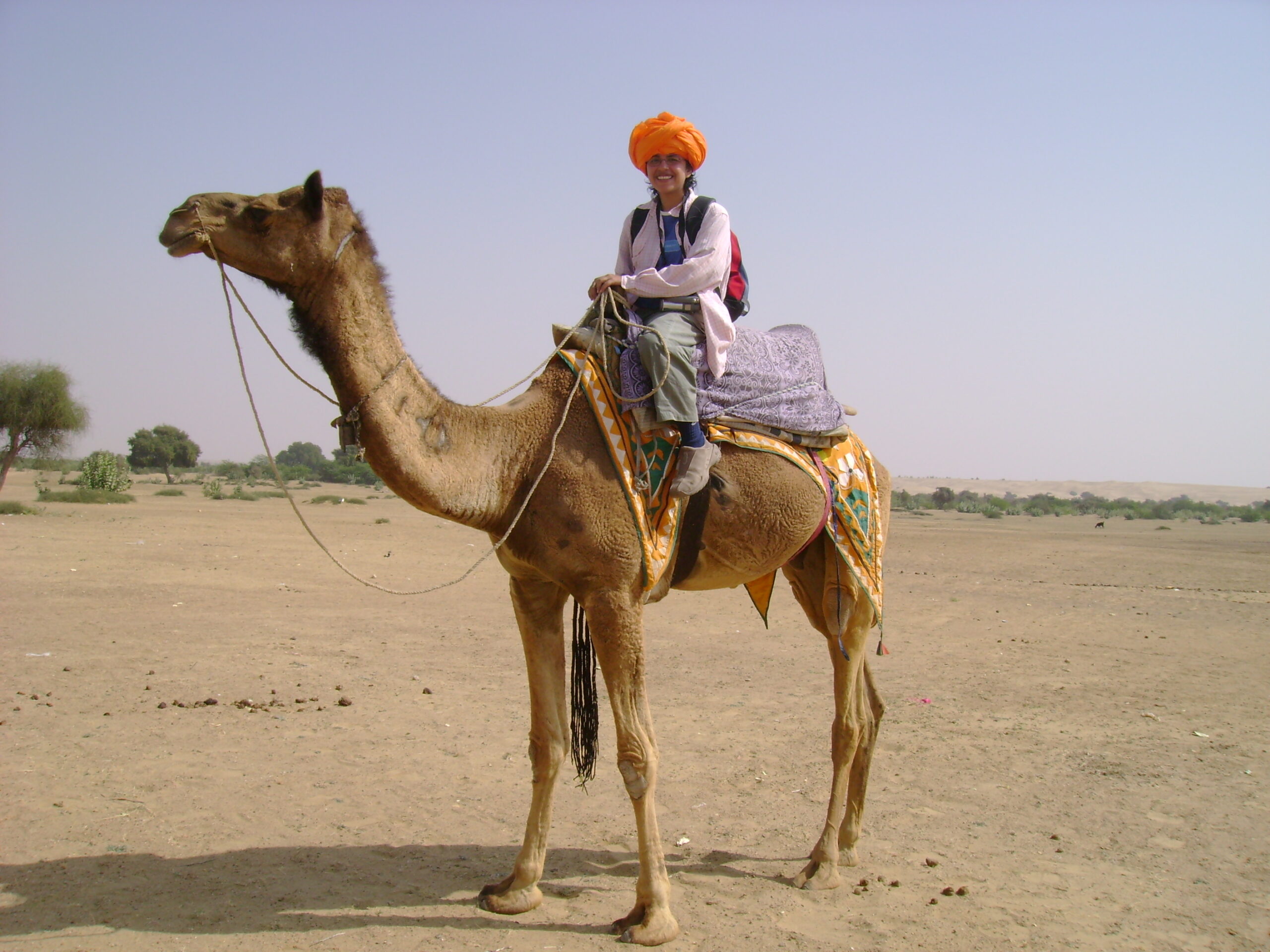 Copia de India1