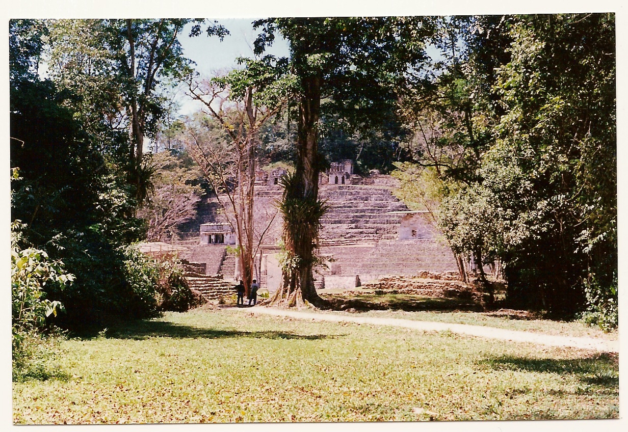 WhatsApp Image 2026-01-17 at 19.42.02